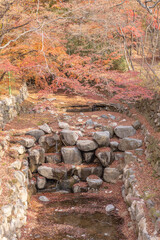 Gyeongju, South Korea - November 20 2023 