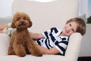 Little child with cute puppy in armchair indoors. Lovely pet