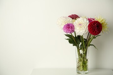 Bouquet of beautiful Dahlia flowers in vase on white table. Space for text