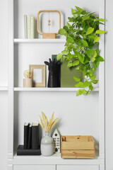 White shelves with books, plants and different decor indoors. Interior design - obrazy, fototapety, plakaty