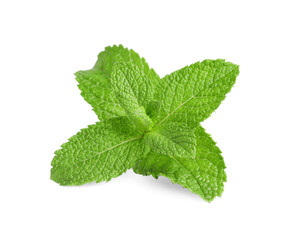 Fresh mint plant with green leaves isolated on white