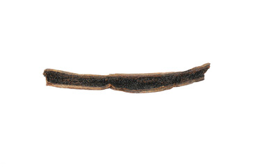 One aromatic vanilla pod isolated on white