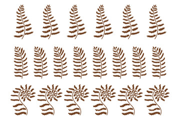 Set of decorative borders made of fern leaves. Elements for your design. Vector illustration isolated on white background.