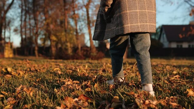 Child enjoys satisfying crunch of dry leaves beneath feet during walk in park