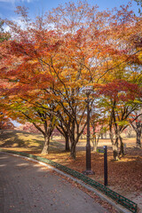 Naklejka premium Gyeongju, South Korea - November 20 2023 