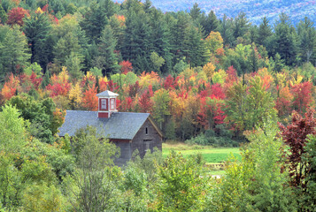 Bucolic and colorful autumn scene in rural Vermont. Old weathered barn with red cupola, vibrant fall foliage, and tall evergreen trees growing on nearby hillside. © Jerrry G