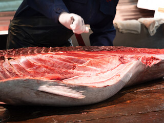 生マグロの解体