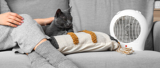 Grey cat with owner near electric fan heater on sofa at home