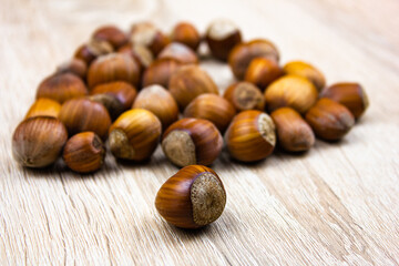 Hazelnut nut. Natural hazelnut in shell on the table.