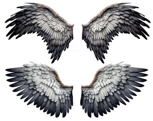 Obraz premium 3D render of fantasy angel wings ,isolation white background