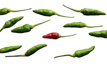 Tuinposter green chili pepper isolated on transparent background. PNG format © Maulana ahmad sidiq