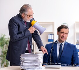Old boss and young male employee in the office