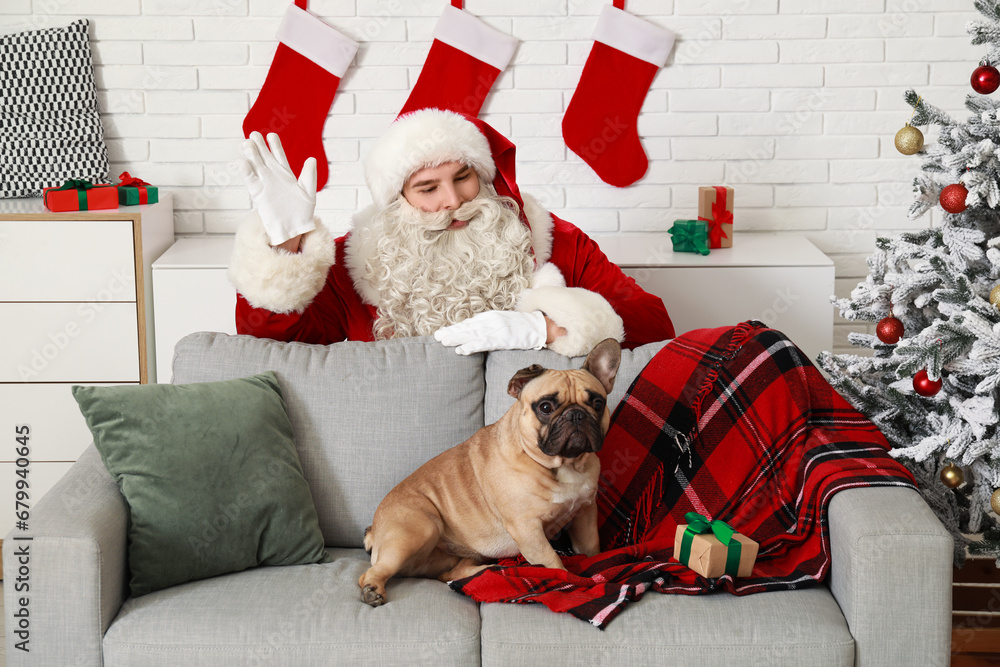 Sticker Cute French bulldog and Santa Claus waving hand at home on Christmas eve