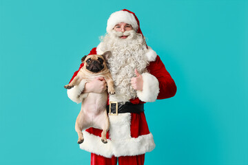 Santa Claus with French bulldog showing thumb-up on blue background