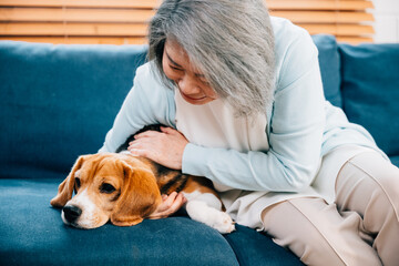 In their cozy living room, an old lady and her Beagle puppy share warm moments on the sofa. Their...