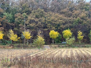 autumn in the mountains