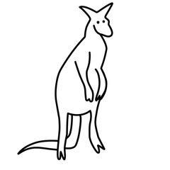 kangaroo line icon