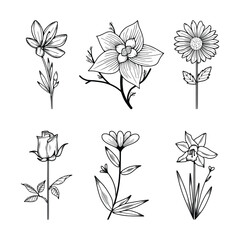 Floral Line Art Minimal Drawn Botanical Vector Illustration
