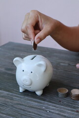 hand put money coin into piggy for saving money wealth