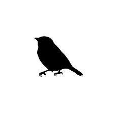 Bird silhouette vector