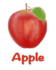 Realistic illustration of an apple
