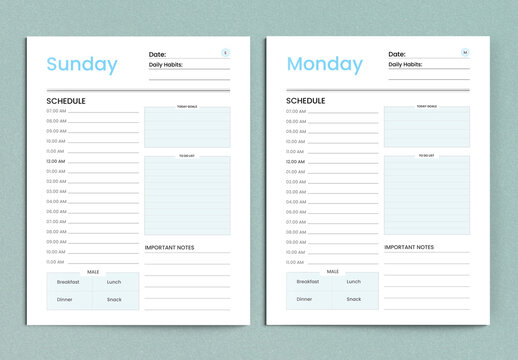 Daily Productivity Planner 2024 Layout