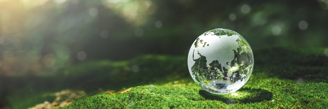 Crystal earth  in forest Environment, save world, earth day and conservation Concept.conservation