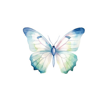 watercolor butterfly cliparts, isolated
