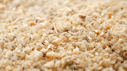 Wood sawdust, background, texture, top view. Pile of sawdust, background. Heap of wood shavings,...
