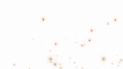 Fototapeta premium fire embers or spark particles with transparent background