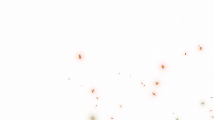 fire embers or spark particles with transparent background