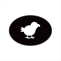 vector image of a single chick black background