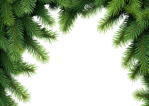 Christmas tree branches frame on white background 