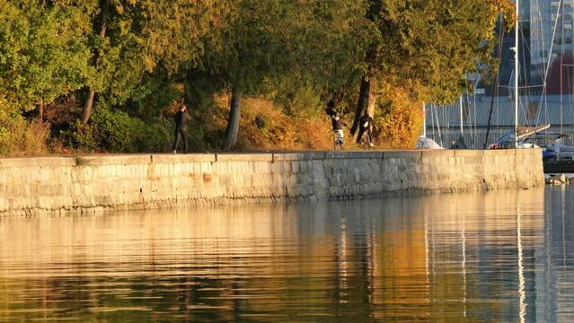 Beautiful view of the Stanley Park Seawall during a golden hour sunset in the fall in Vancouver, British Columbia, Canada