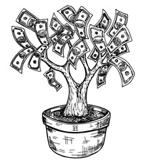 Money tree in flower pot. Business or savings concept of a money tree with growing dollar bills. Hand-drawn vector drawing of a money tree full of banknotes. Sketch illustration