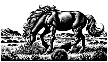 Wild Mustang Horse - obrazy, fototapety, plakaty