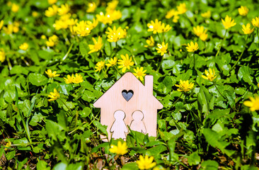 The symbol of the house stands among the yellow flowers
