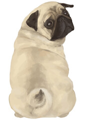 Illustration of a pug turning around