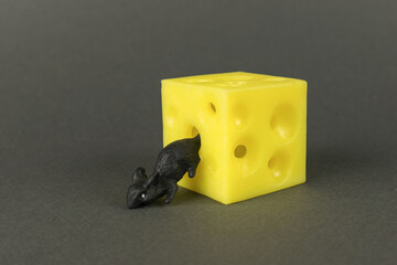 A small black mouse climbs out of a piece of cheese.