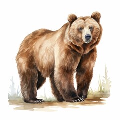 Realistic Bear Watercolor Artwork