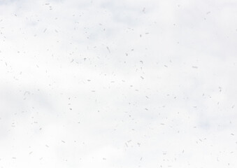 Festive confetti in flight against the background of the sky with clouds