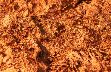 Red modeling clay on the ground as a background