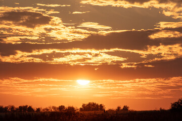 Fototapeta na wymiar Golden sunset on the horizon in the steppe