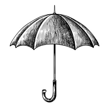 Umbrella vintage vector sketch illustration 