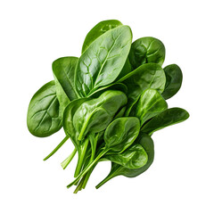 spinach isolated on transparent background