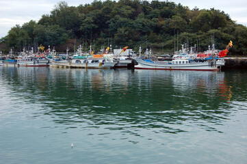 boats in the harbor