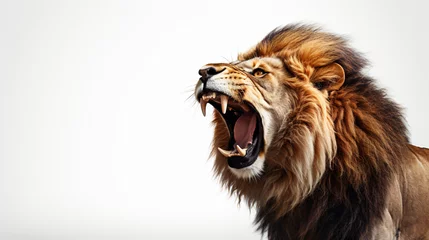 Fotobehang Roaring lion © Little