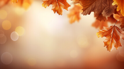 Naklejka na ściany i meble Autumn Leaves Background, Golden Foliage Nature, Oak Leaf Textured Forest