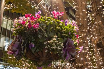 東京 丸の内イルミネーション