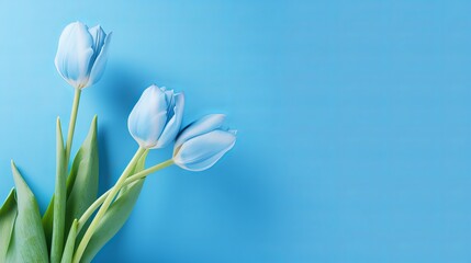 Fototapeta premium Spring create organize on blue establishment copy space level lay annoyed inventive asset